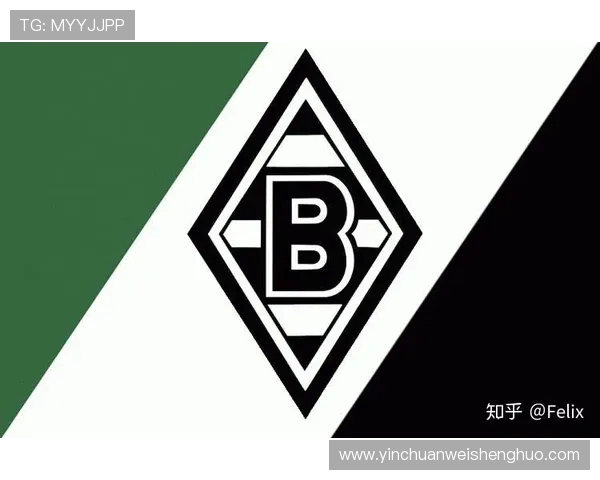 中国足协与德甲联赛合作的具体球队名单及合作项目介绍