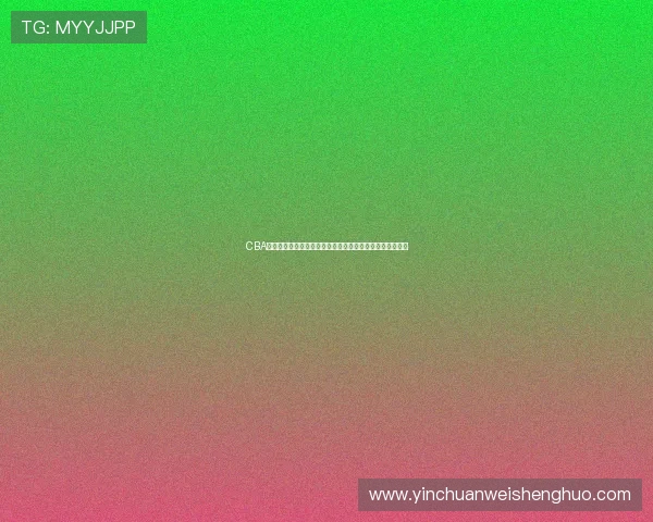 CBA啦啦队明星职业发展现状调查：舞台之外的职业选择与困境